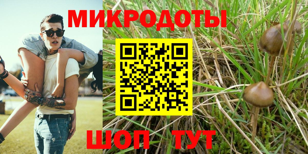 Галлюциногенные грибы Psilocybine cubensis Асбест