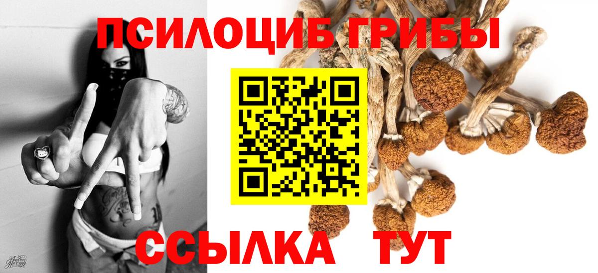 Асбест  Псилоцибиновые грибы ЛСД  Вход с VPN 